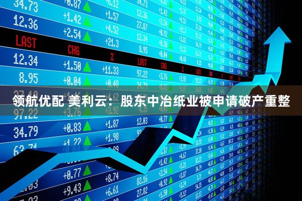 领航优配 美利云：股东中冶纸业被申请破产重整