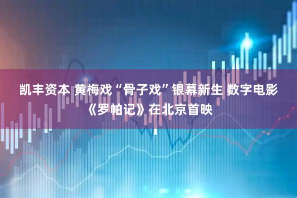 凯丰资本 黄梅戏“骨子戏”银幕新生 数字电影《罗帕记》在北京首映