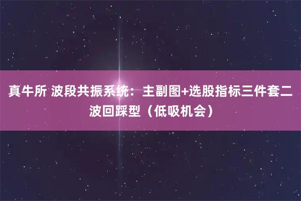 真牛所 波段共振系统：主副图+选股指标三件套二波回踩型（低吸机会）