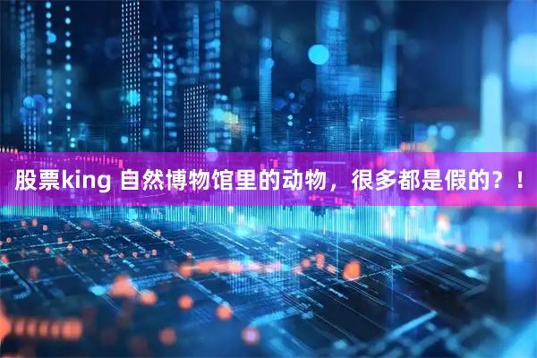 股票king 自然博物馆里的动物，很多都是假的？！